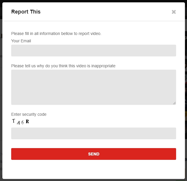 VideoPro-Report-Form