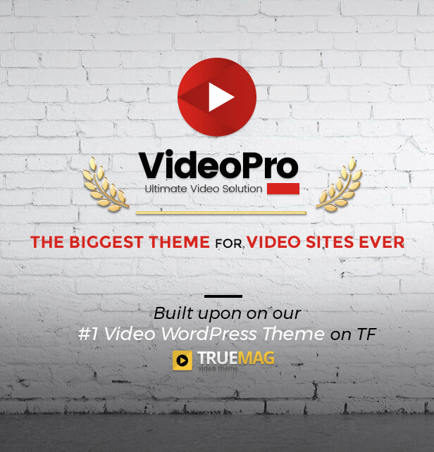 VideoPro - Video WordPress Theme - 10