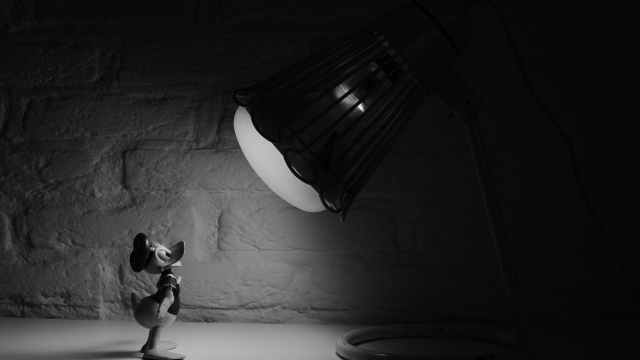 black-and-white-cartoon-donald-duck-spotlight